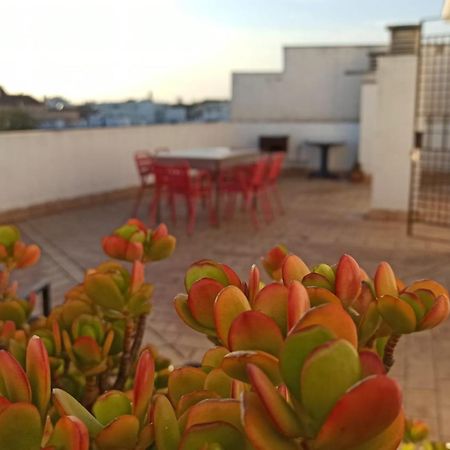 Atardeceres Sureños Jerez de la Frontera Exterior foto